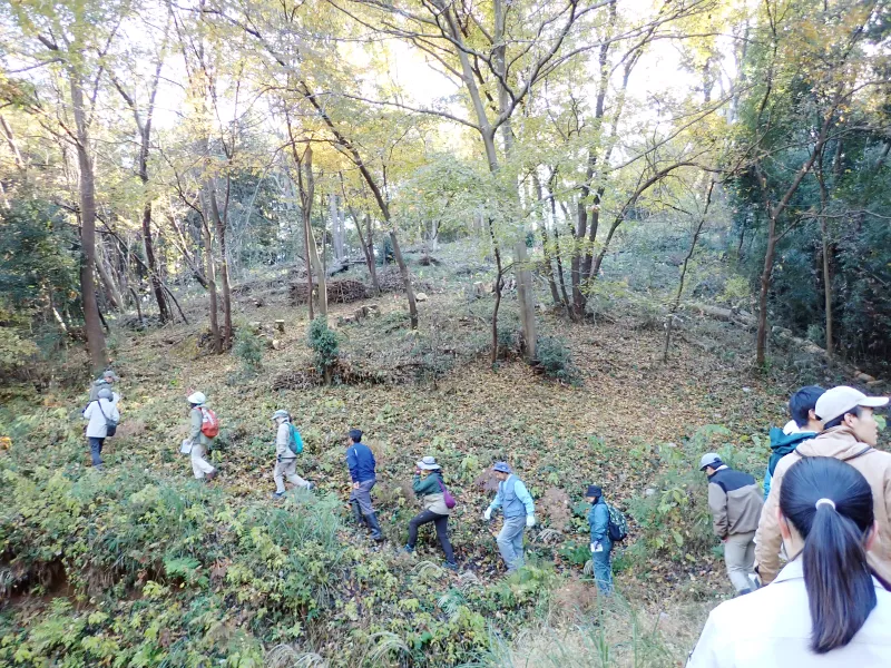 斜面をぞろぞろ進みます。