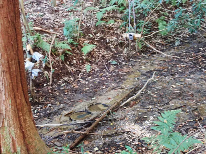 「あの」バードバスの実物にちょっぴり感動！