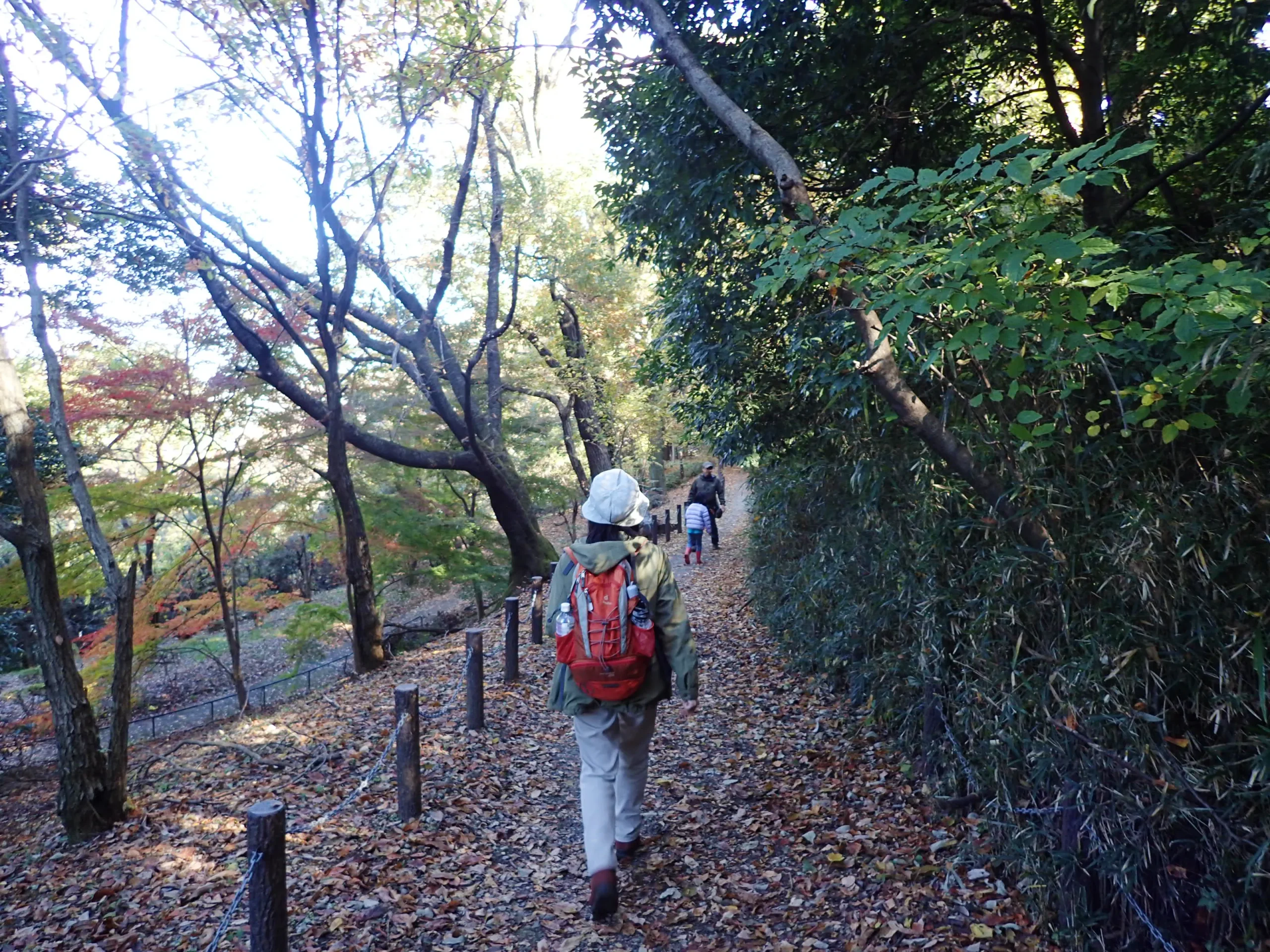 相模野と武蔵野のあいだに位置する「よこやまの道」