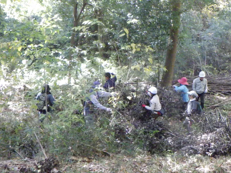 エコスタックの作成。枠組みを作って伐採した資材を詰めていきます。