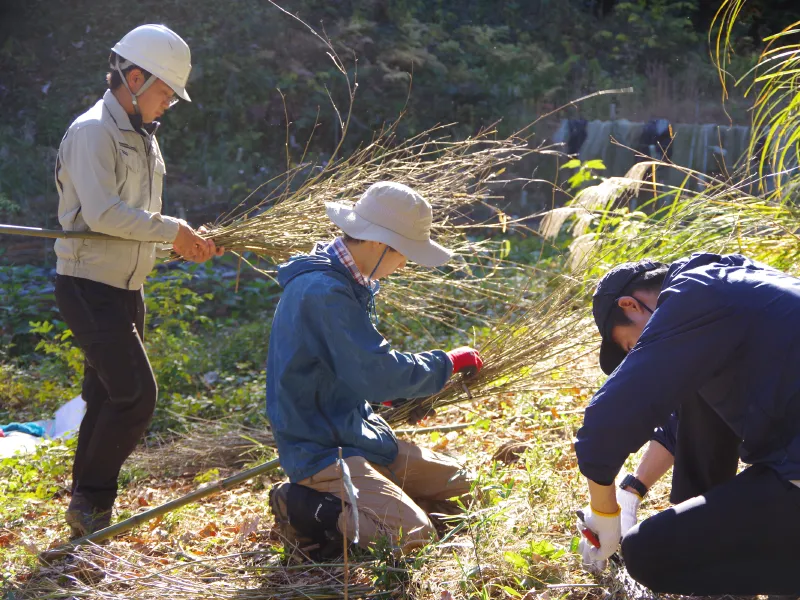 竹ぼうきをつくります