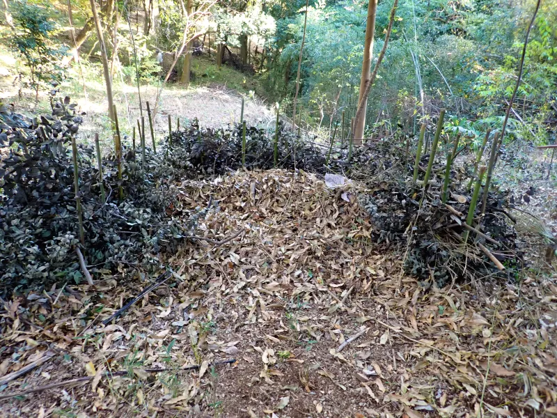 落ち葉が積み上がっていきます。誰が使ってくれるかな。