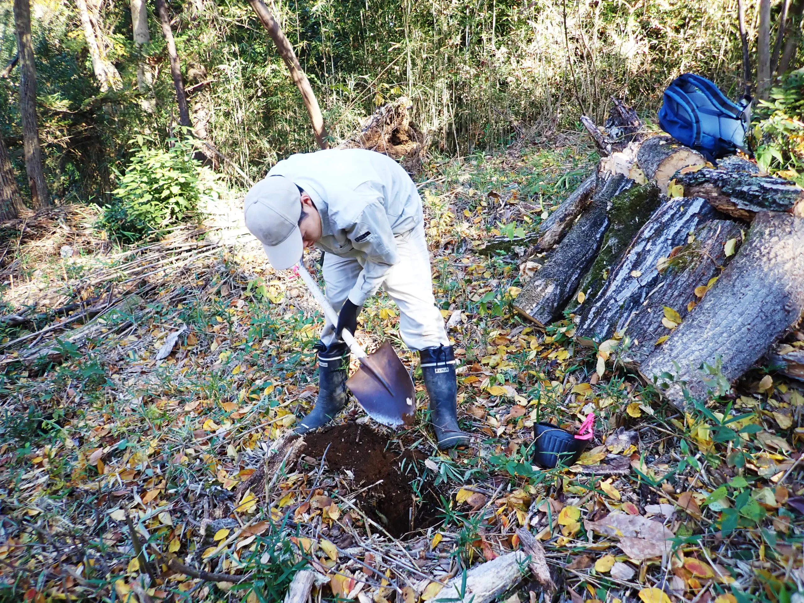 移植班は地面を掘って。。
